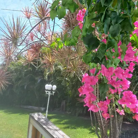 Casa Aly-3