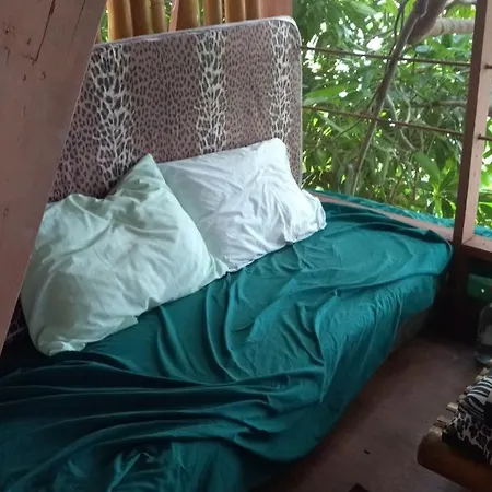 Treehouse Above The Beach-3