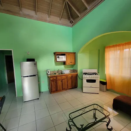 Wizzy Apartment-2