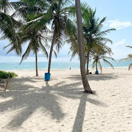 Bright And Spacious Apartment 10 Mins Away From Puj Airport-2