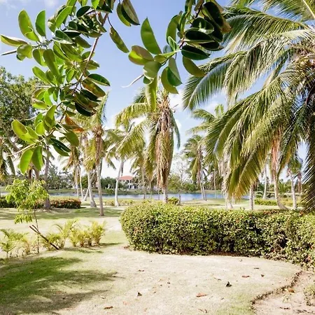 Luxury Villa In Punta Cana-3