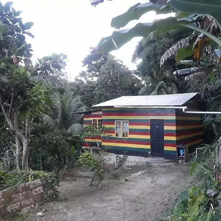 Nature One Bed Room Apartment-2