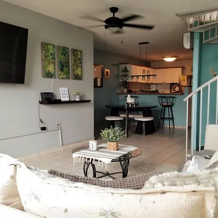 Penthouse In San Juan-2