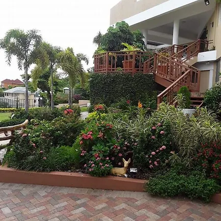 City View Cottage-2