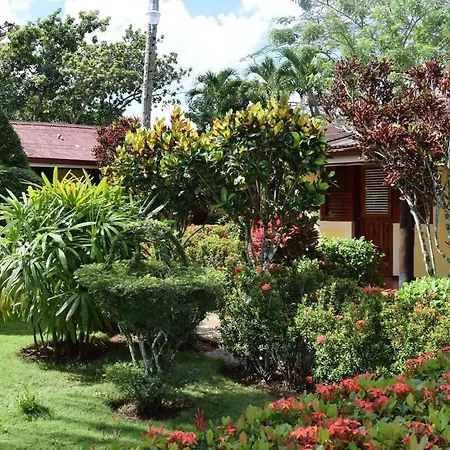 Apartamentos Palo Coco-2