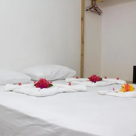 Apartamentos Palo Coco-3