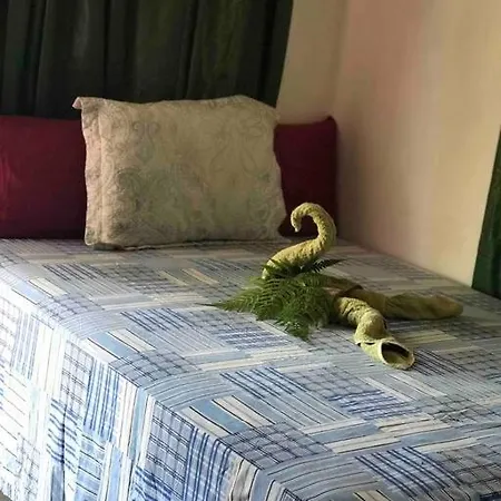 Comfort Cove Cottage 10K Per Night-2