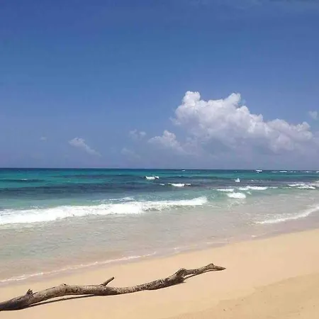 Comfort Cove Cottage 10K Per Night-3