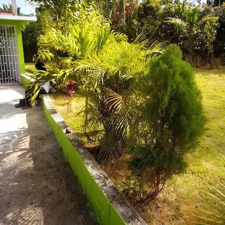 Beautiful Suburb Of Montego Bay-2
