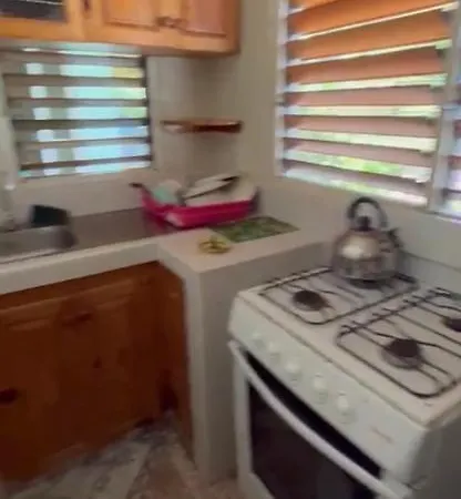 Froggy Guest House-2