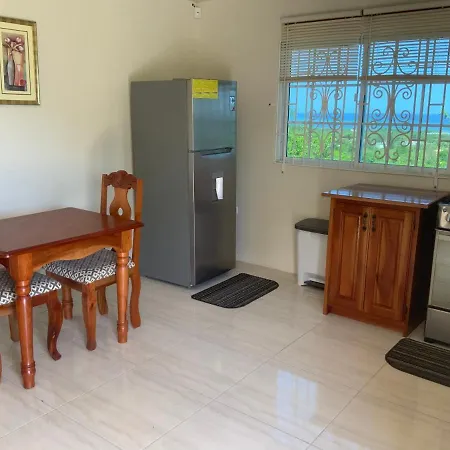 Poinciana Apartment One 257 Poinciana Drive Green Wood Montego Bay Jamaica-3