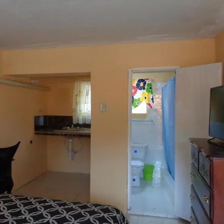 Tropical Manor Inn - Kingston-3