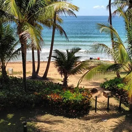 Belash Tropical Oasis Next To Beaches And Palmas Del Mar-2