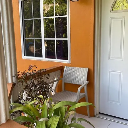 Blue Lotus Tropical Suite-3