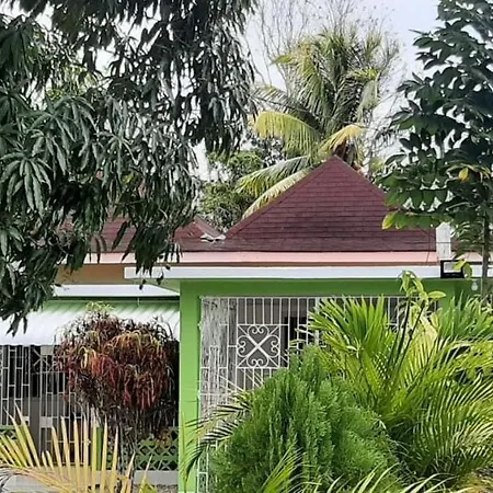 Beautiful Suburb Of Montego Bay-3
