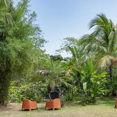 Vieques Tropical Guest House-2