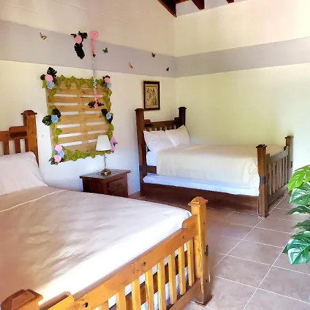 Tobiah Hotel Jarabacoa-2