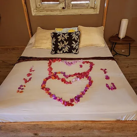 Tropic Ecolodge-3