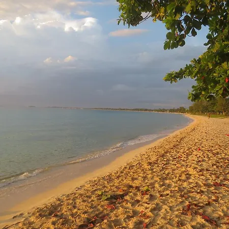 A Piece Of Paradise Montego Bay-2