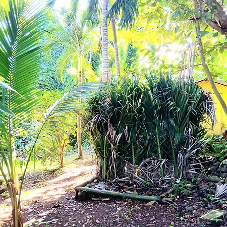 La Familia Guest House And Natural Farm-2