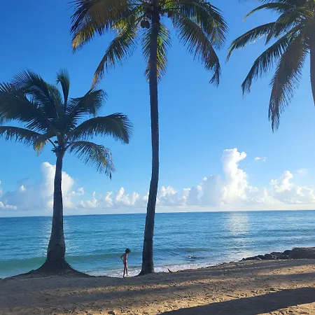 Cozybeach Large 1Bdrapt 50 Steps From Atlantic Ocean Private Street Between Ocean Park & Isla Verde 5 Mins From Airport-2