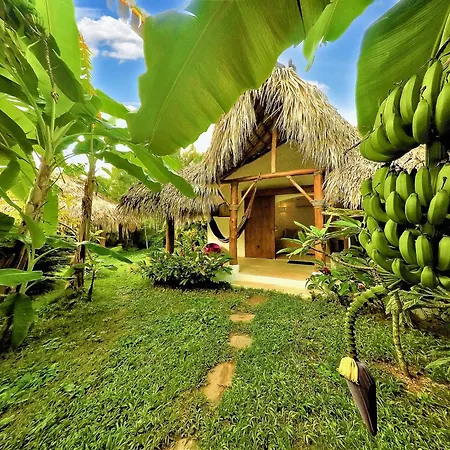 Casa Picaflor-2