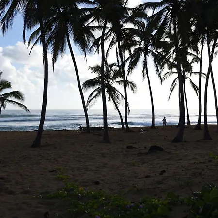 Relax @ Beach, Bibijagua-3