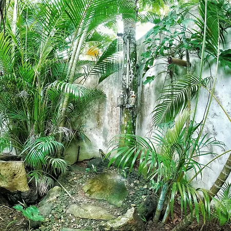 Jungle Hut Near Beach - Nature Lovers-2