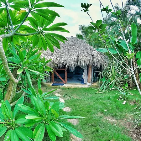 Jungle Hut Near Beach - Nature Lovers-3