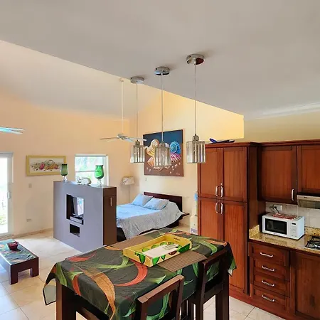 Ocean Dream Top Floor Studio With Balcony-3