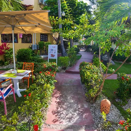 Amazing Penthouse In Punta Cana With Ocean View-2