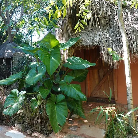 Casa El Paraiso, Eco Lodge-2