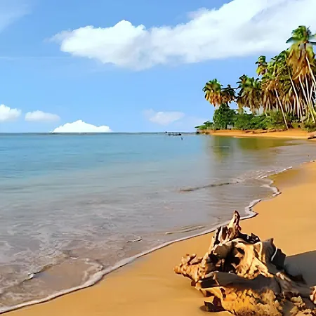 Charming House With Private Pool In Las Terrenas-3
