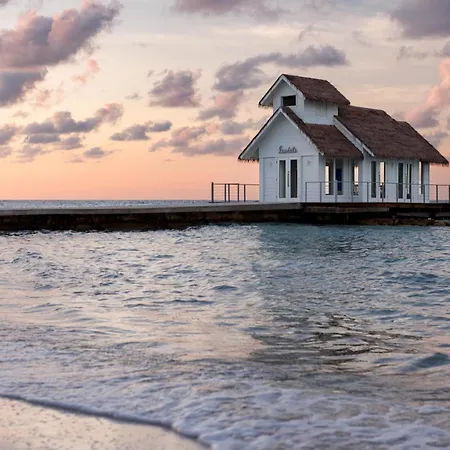 Sandals Montego Bay All Inclusive - Couples Only (Adults Only)-3
