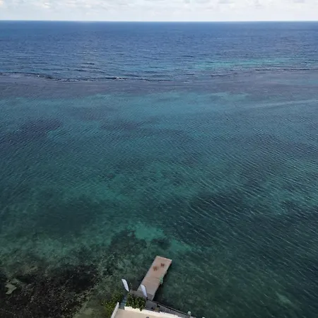 Ocean Palms-2
