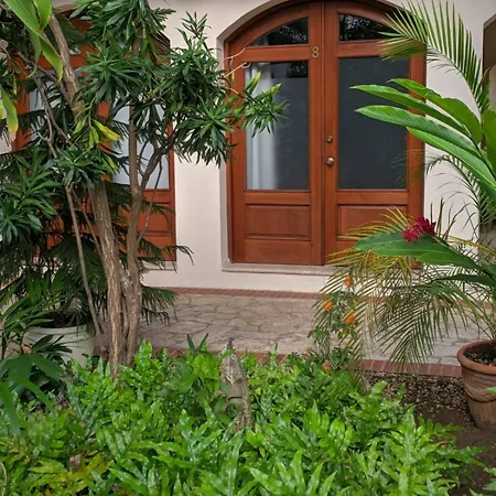 Paseo Colonial - Leo'S Favorite #8-2