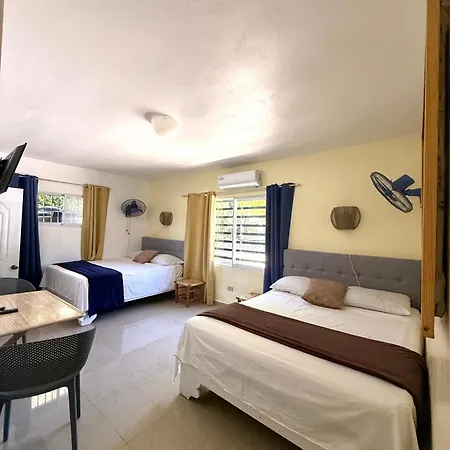Hotel Al Mare-2