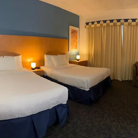 Ficus Hotel-3
