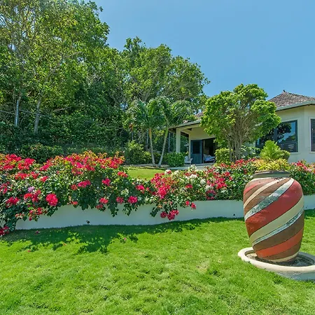 Nianna Luxurious Villa-3