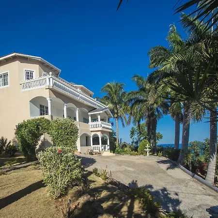 Tall Palms-Ocean View-2