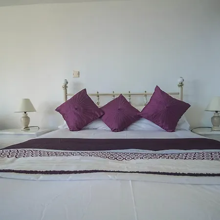 Tall Palms-Ocean View-3