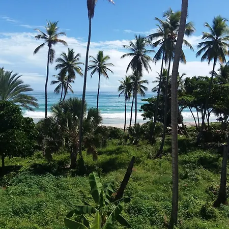 Oasi Encantada - Beach Resort-3
