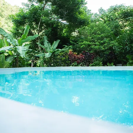 Tree House Village - Waterfall-2