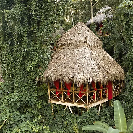 Tree House Village - Waterfall-3