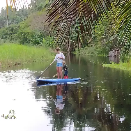 Method Living Tropical Edition-3