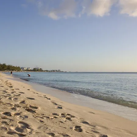 Luxury 1 Bed Apartment Near Seven Mile Beach At The Grove - Villa Zen-2