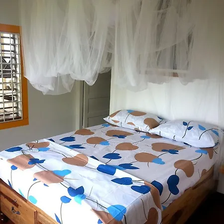 Germaican Hostel-3