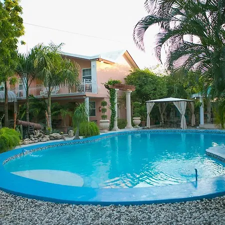 Palm Inn Hotel-2