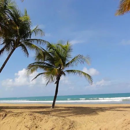 One-Bedroom Oceanfront Villa At Rio Mar-3