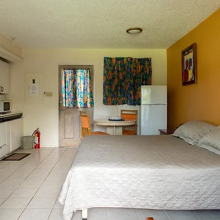 Sea Breeze Beach Studio - Negril-2
